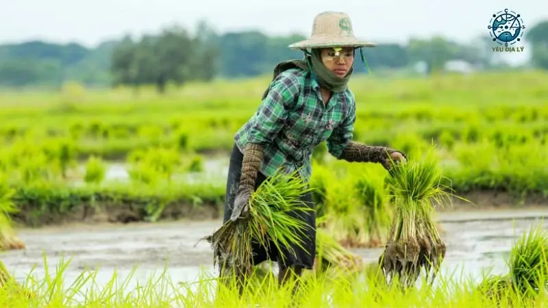 Kinh tế Myanmar