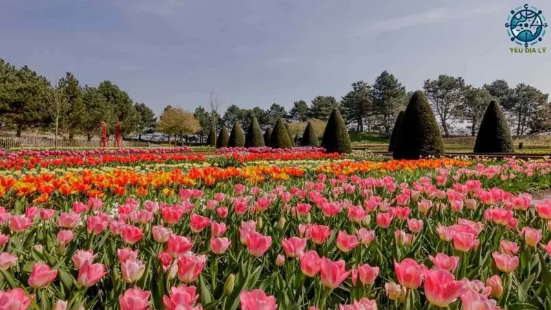 vuon-hoa-keukenhof 