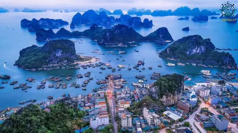 Khu vực kinh tế tự do 