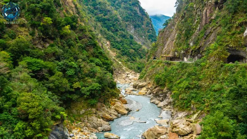Khu bảo tồn thiên nhiên Châu Á - 11