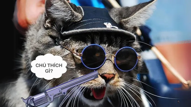 Chia sẻ ngay meme ảnh meme hài cực chất khiến ai cũng cười