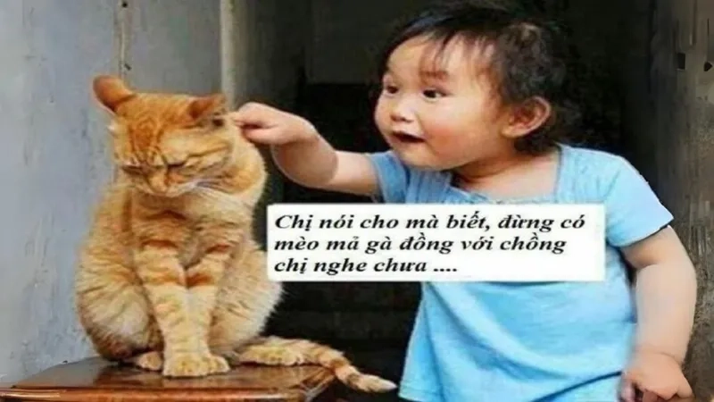 Cập nhật ngay ảnh vui meme hài gốc cực chất dành cho bạn