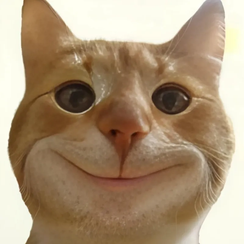 Tổng hợp hình mèo meme hài siêu bựa khiến ai cũng bật cười