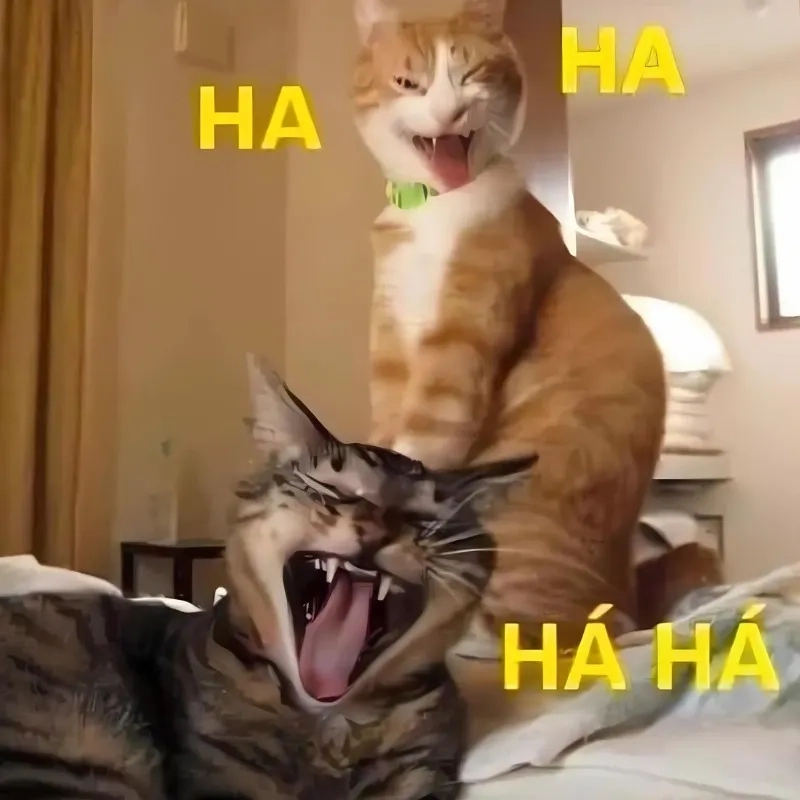Cười không nhặt được mồm với loạt meme hài bựa mèo mới nhất