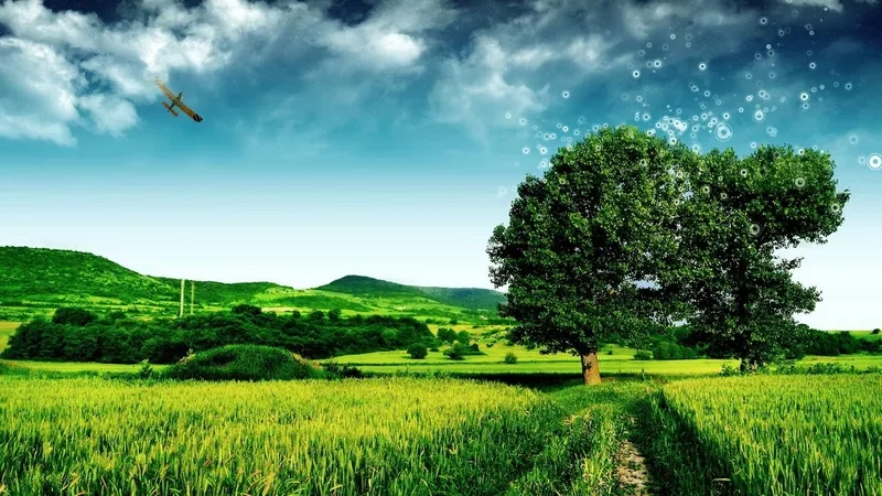 Cập nhật ngay ảnh nền máy tính đẹp nhất với độ phân giải siêu cao