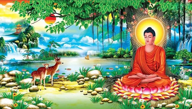 Cảm nhận năng lượng từ ảnh phật thích ca ngồi thiền
