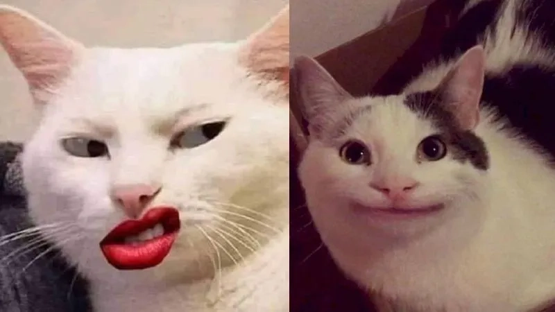 Cười bung nóc với hài bựa ảnh chế meme hài bựa hot trend