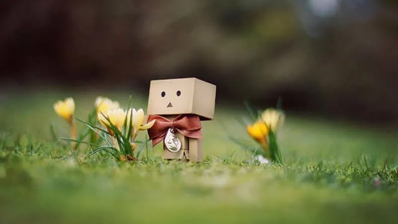 Tải ngay ảnh đại diện FB đẹp với chất lượng cao và phong cách độc đáo