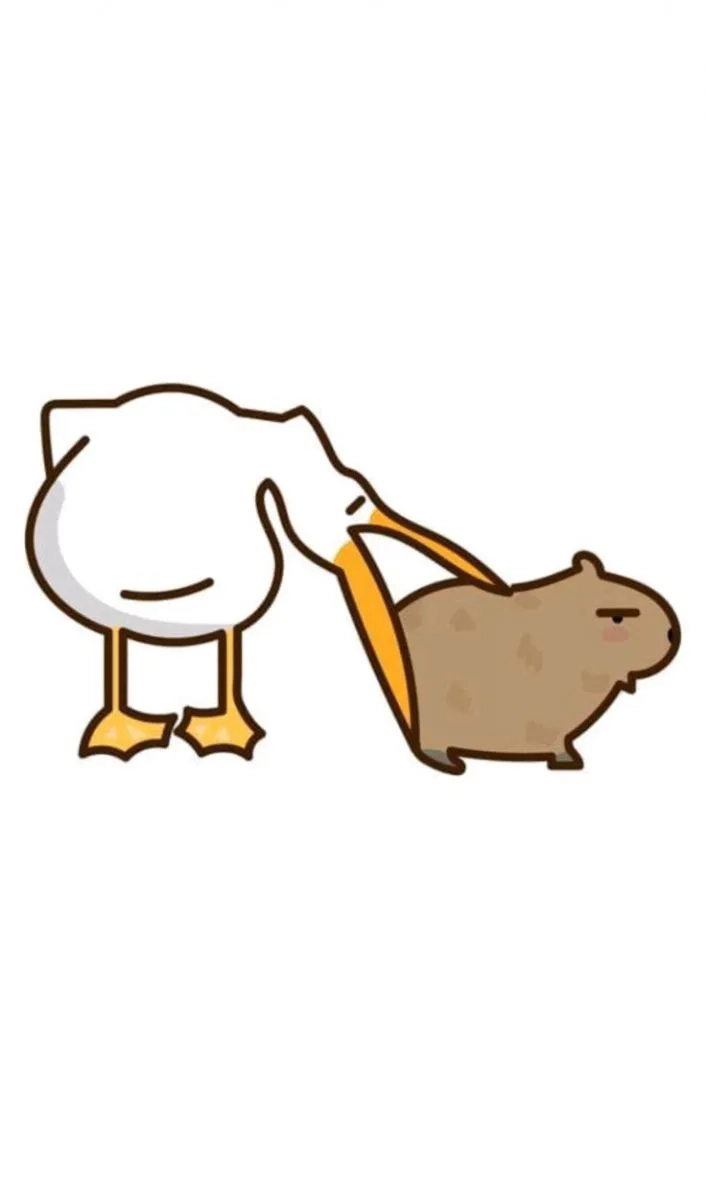 Ngắm nhìn những khoảnh khắc dễ thương của capybara cute