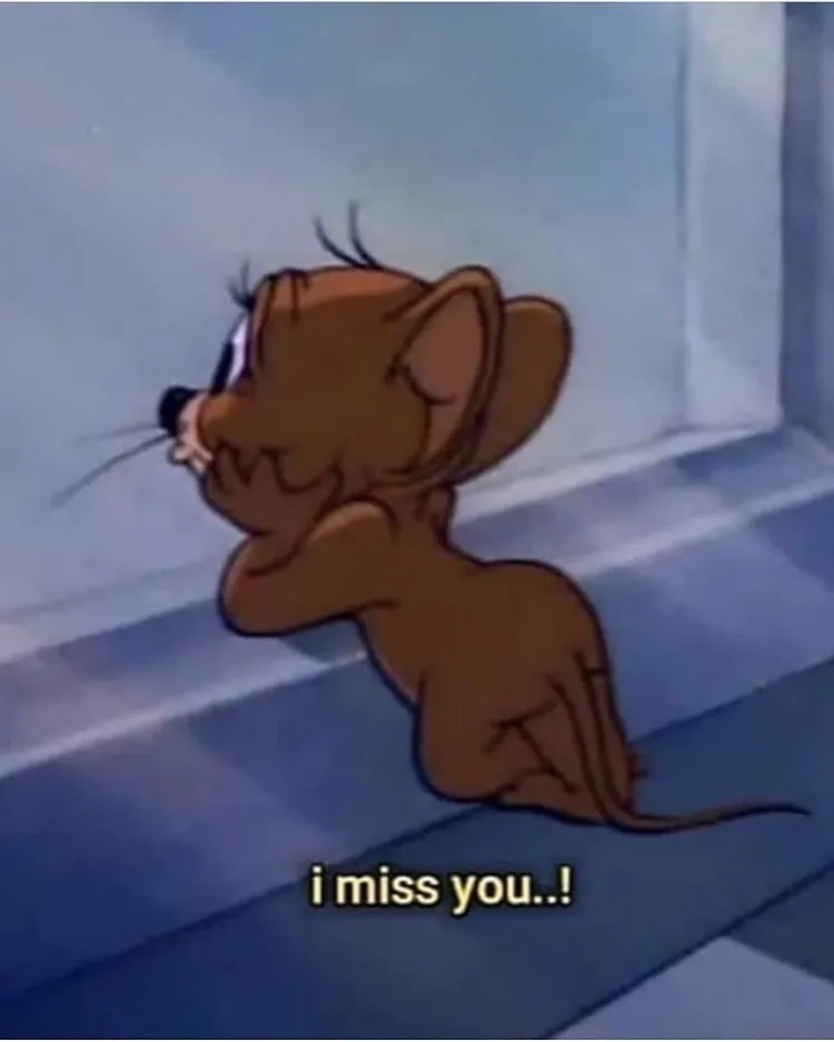 Meme chuột Jerry hài hước và siêu đáng yêu