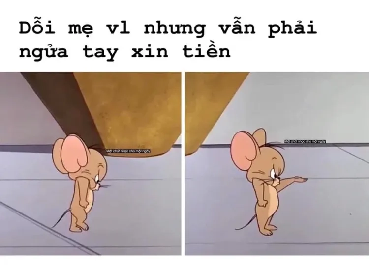 Jerry meme HD hình ảnh sắc nét chuẩn không cần chỉnh