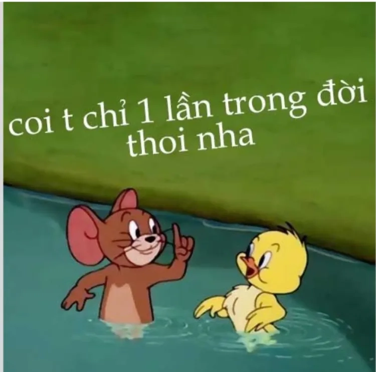 Jerry meme cute thể hiện độ đáng yêu không ai sánh kịp