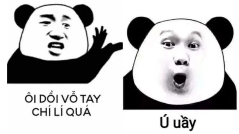 Xem ngay hình ảnh meme hài hước để có tràng cười thả ga