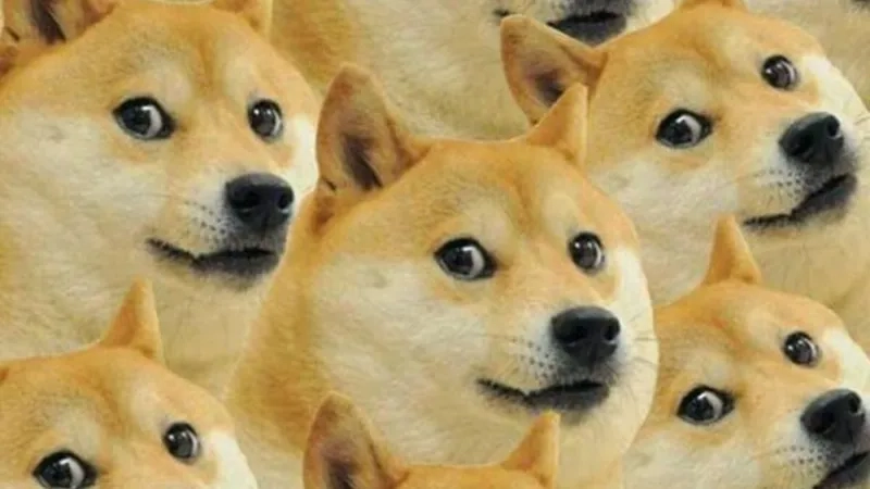 Bộ hình meme hài hước hot trend giúp bạn giải trí cực mạnh