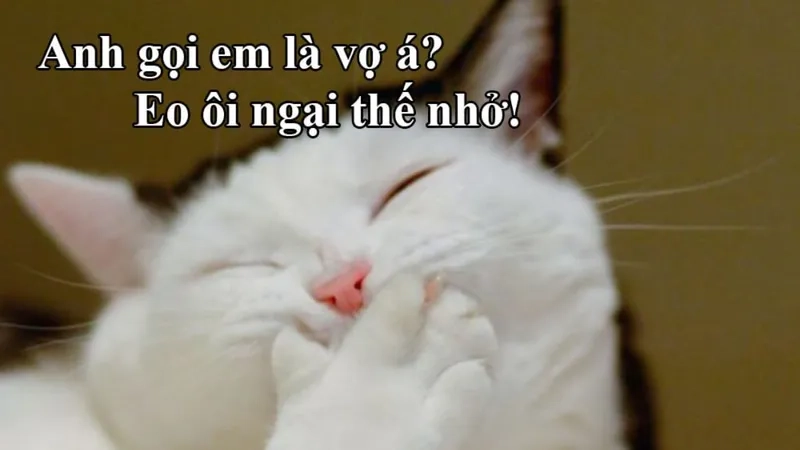 Đổi ngay avatar meme hài hước để gây ấn tượng mạnh