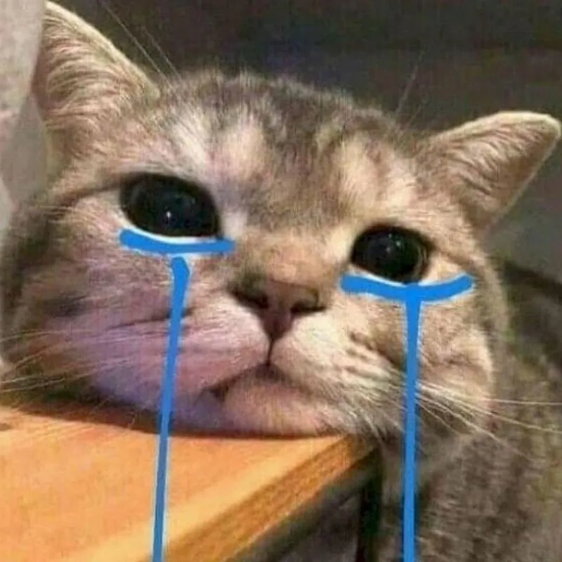 Tổng hợp meme mèo khóc cute đầy cảm xúc