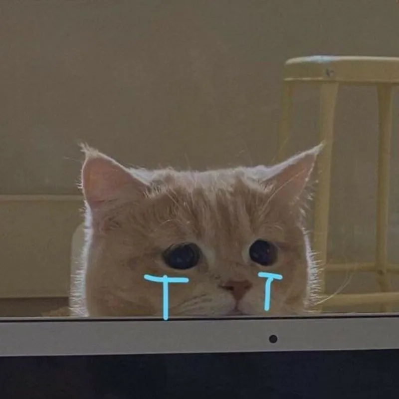 Loạt meme mèo khóc like hot nhất mạng xã hội