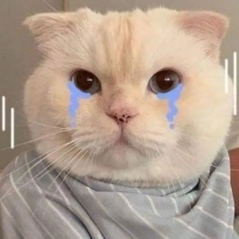 Tổng hợp ảnh meme mèo khóc dễ thương