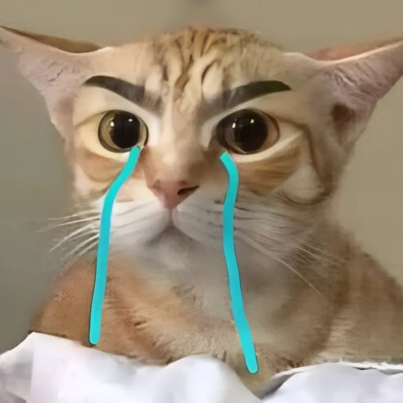 Xem ngay ảnh mèo khóc meme cực đáng yêu