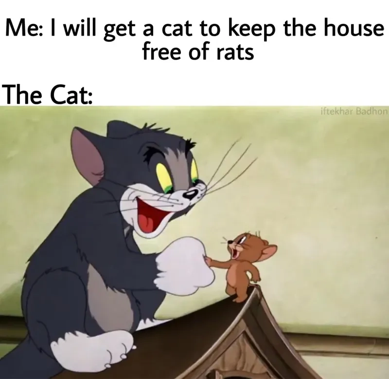 Jerry Tom meme khi cả hai cùng hợp tác một cách lầy lội