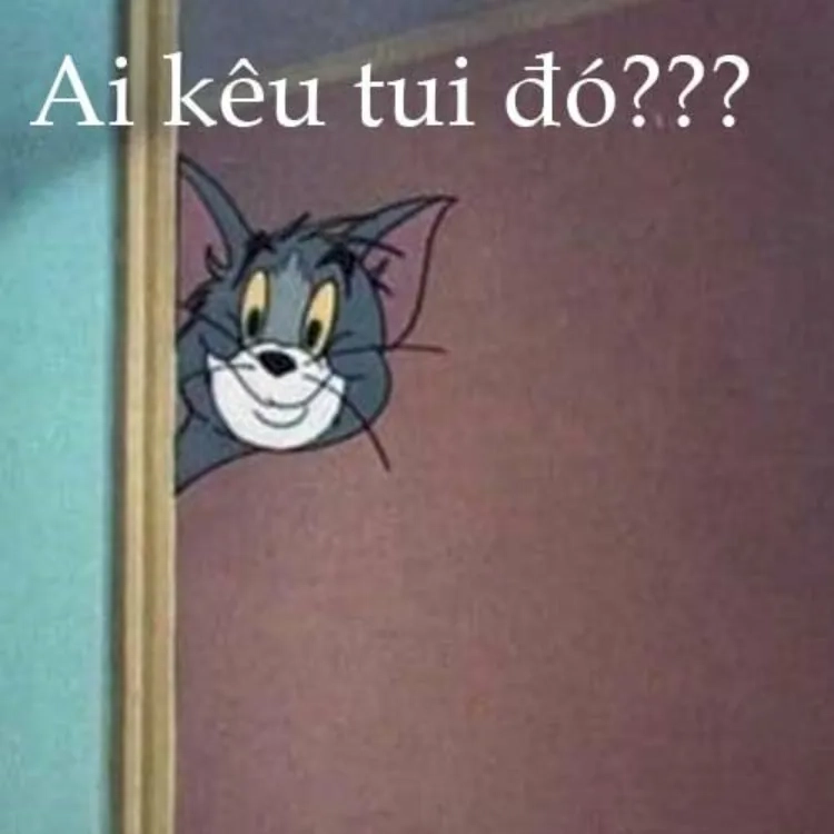 Tom cat meme dành cho ai thích sự lầy lội và hài hước