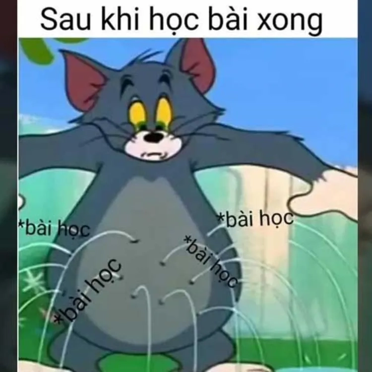Tom face meme phản ứng không thể chân thực hơn