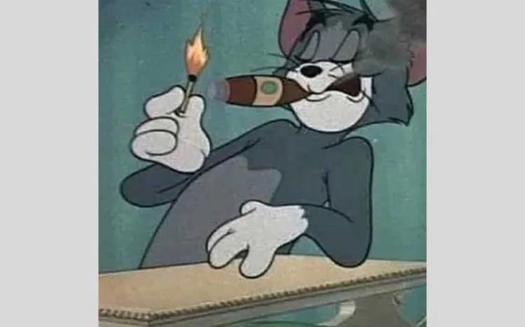 Ảnh Tom meme cực chất để bạn troll bạn bè