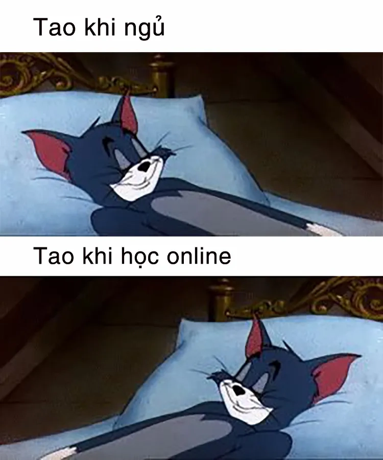 Meme Tom cười dành cho những khoảnh khắc không thể nhịn được