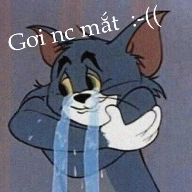 Ảnh mèo Tom meme giúp bạn biểu đạt cảm xúc hoàn hảo
