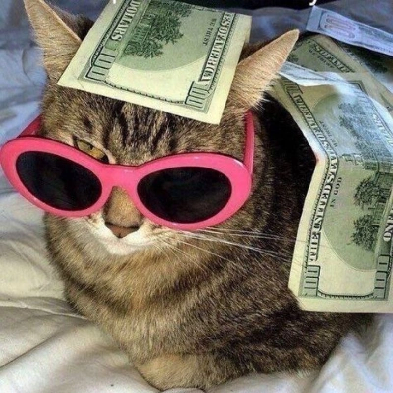 Bộ hình con mèo chibi dành cho tín đồ yêu mèo đáng yêu