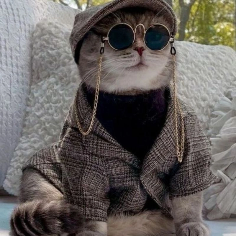 Tuyển tập con mèo chibi cute dễ thương chuẩn phong cách Nhật