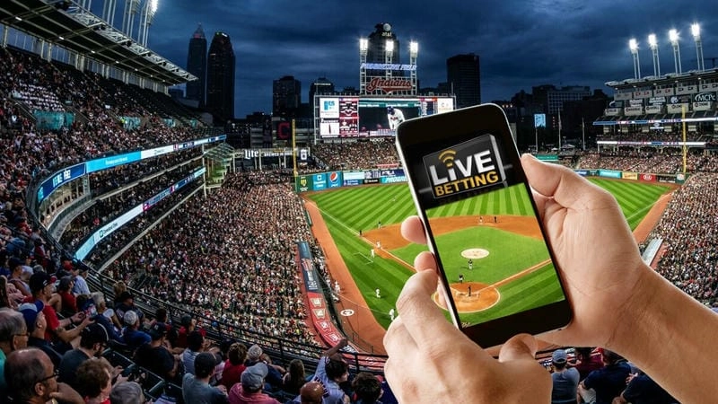  Chọn thời điểm vàng để vào kèo rung hiệu quả hơn.