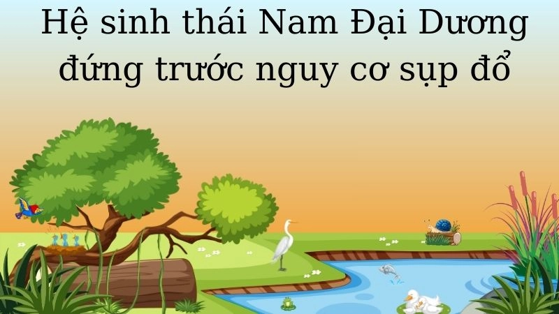 Hệ sinh thái Nam Đại Dương đứng trước nguy cơ sụp đổ 