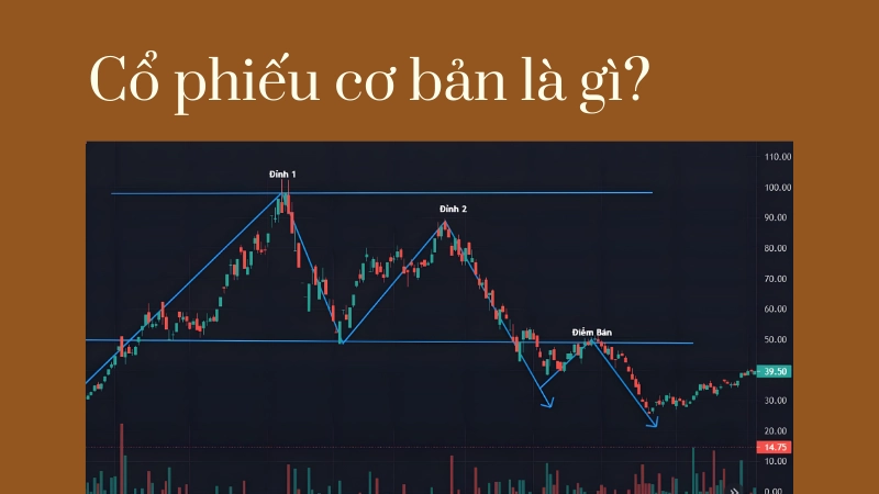 Biểu đồ phân tích kỹ thuật khi tìm hiểu cổ phiếu trực tuyến