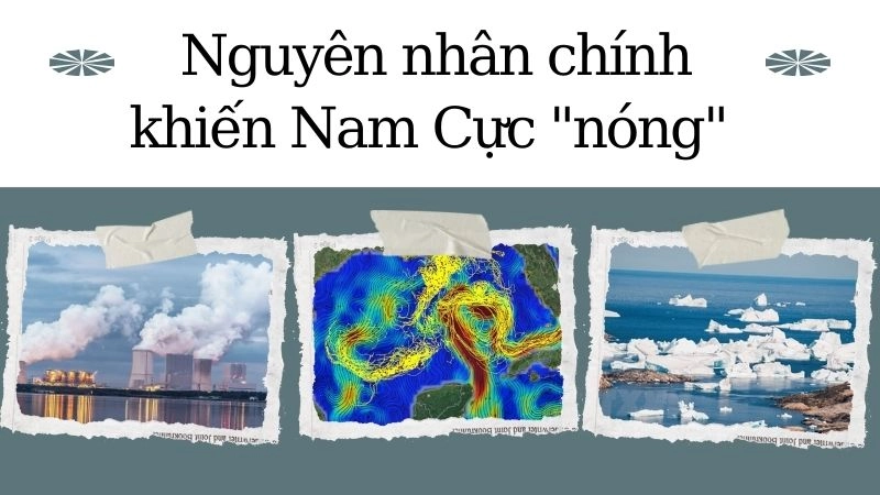Nguyên nhân chính khiến Nam Cực 