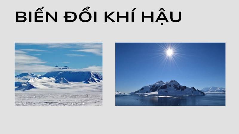 Biến đổi khí hậu nguy hiểm tại Nam Cực