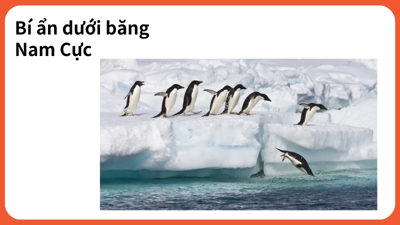 Bí mật dưới lớp băng Nam Cực ít người biết