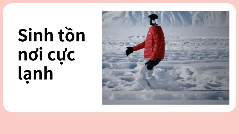 Khám phá giới hạn sinh tồn tại vùng cực lạnh giá